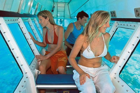 Quicksilver Outer Great Barrier Reef Snorkel Cruise From Palm Cove - Foster Accommodation 5