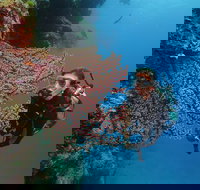 Silversonic Outer Great Barrier Reef Dive and Snorkel Cruise from Port Douglas - Foster Accommodation