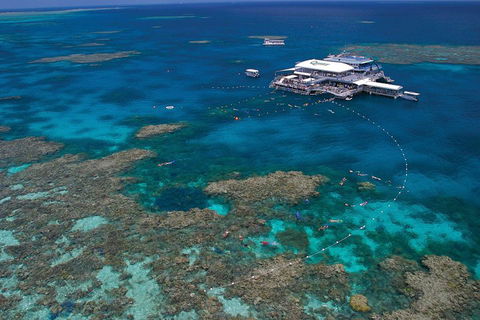 Ultimate 3-Day Great Barrier Reef Cruise Pass - Foster Accommodation 3