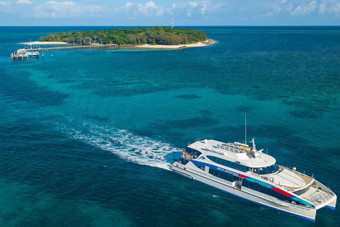 Ultimate 3-Day Great Barrier Reef Cruise Pass - Foster Accommodation 4