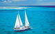 Ultimate 3-Day Great Barrier Reef Cruise Pass - thumb 5
