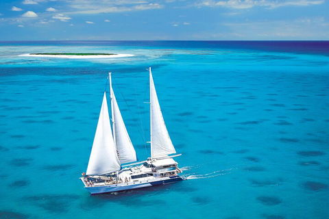 Ultimate 3-Day Great Barrier Reef Cruise Pass - Foster Accommodation 5