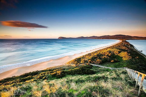 Bruny Island Private Charter Service - Foster Accommodation 0