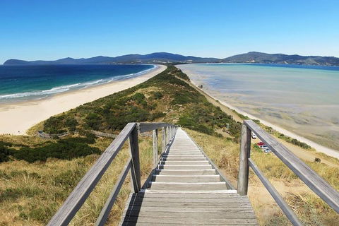 Bruny Island Private Charter Service - Foster Accommodation 4