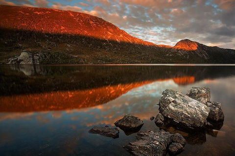 Cradle Mountain Private Charter Service - Foster Accommodation 0