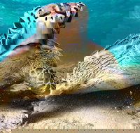 Sail Snorkel SUP  Kayak Charter Whitsundays - Foster Accommodation