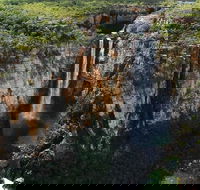 7 Days Darwin Kakadu National Park Katherine Gorge Touring Package - Foster Accommodation