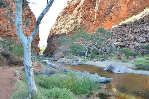 Alice Springs, Uluru Ayers Rock & Kings Canyon 8 Days Touring Package - Foster Accommodation 2