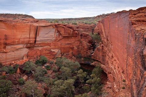 Uluru, Kata Tjuta And Kings Canyon Camping Safari From Ayers Rock - Foster Accommodation 1