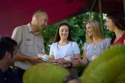 Daintree And Cape Tribulation Tour From Cairns - Foster Accommodation 5