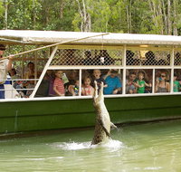 Hartley's Crocodile Adventure Half-Day Tour - Foster Accommodation