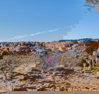 The Amazing Kings Canyon 4-Hours Walking Tour and Hike - Foster Accommodation