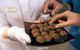 Explore Adelaide City Tour: Haigh's Tasting Chocolate & Adelaide Oval Tour - thumb 2