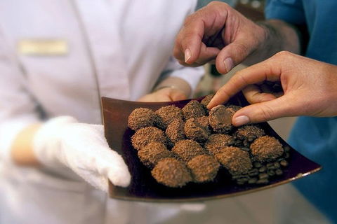 Explore Adelaide City Tour: Haigh's Tasting Chocolate & Adelaide Oval Tour - Foster Accommodation 2