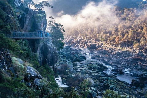 3.5 Hours Walking Tour To Cataract Gorge With Local Guide - Foster Accommodation 1