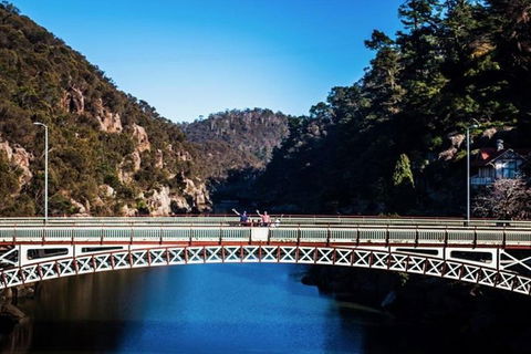 3.5 Hours Walking Tour To Cataract Gorge With Local Guide - Foster Accommodation 4