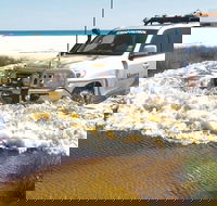 Full-Day Moreton Island 4x4 Sightseeing Tour - Foster Accommodation