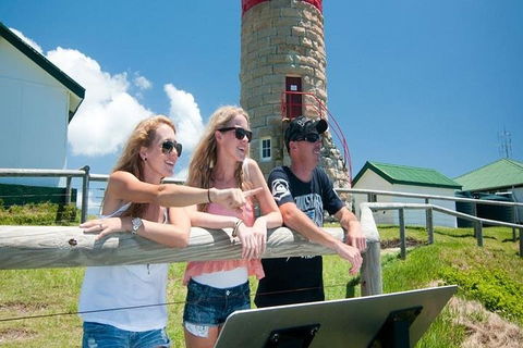 Full-Day Moreton Island 4x4 Sightseeing Tour - Foster Accommodation 3