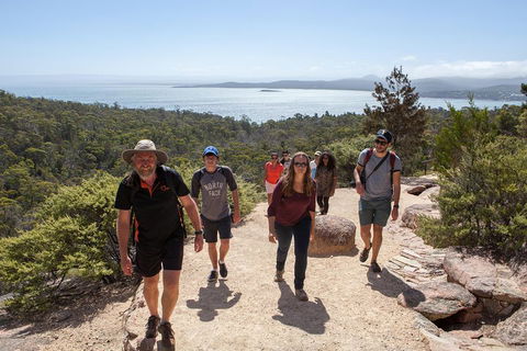 3-Day Tasmania Combo: Launceston To Hobart Active Tour Including Cradle Mountain, Freycinet National Park And Port Arthur - Foster Accommodation 5