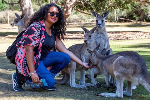 3-Day Tasmania Combo: Hobart To Launceston Active Tour - Foster Accommodation 5