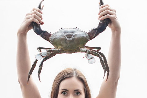 The Ultimate Gold Coast Attractions Pass - Foster Accommodation 0