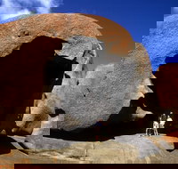 Full-Day Kangaroo Island Safari from Penneshaw - Foster Accommodation