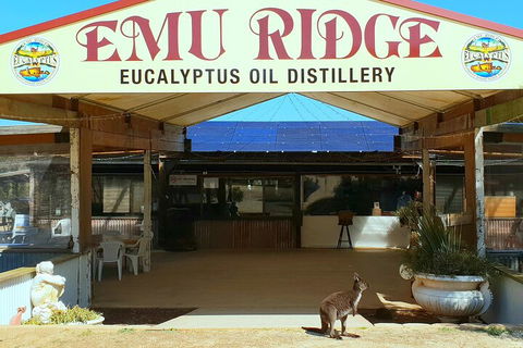 2-Day Kangaroo Island Safari From Adelaide - Foster Accommodation 4