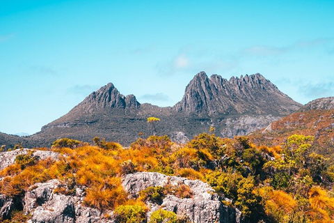 Cradle Mountain National Park Day Tour From Launceston - Foster Accommodation 1