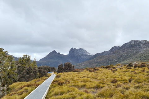 Cradle Mountain National Park Day Tour From Launceston - Foster Accommodation 2