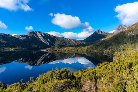 Cradle Mountain National Park Day Tour From Launceston - Foster Accommodation 3
