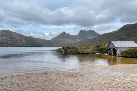 Cradle Mountain National Park Day Tour From Launceston - Foster Accommodation 4