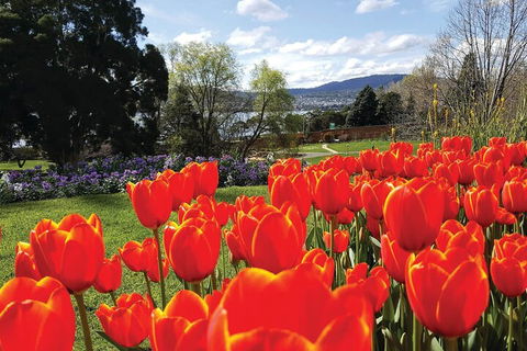 Hobart Half-Day Sightseeing Coach Tram Tour - Foster Accommodation 4