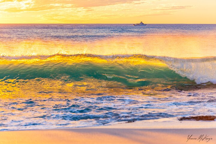  Foster Accommodation