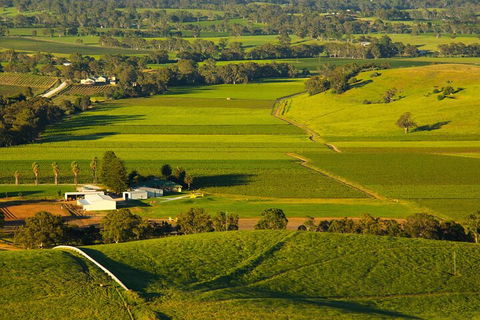 Full-Day Wine World Tour In Barossa - Foster Accommodation 2