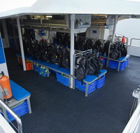 Silverswift Outer Great Barrier Reef Dive and Snorkel Cruise from Cairns - Foster Accommodation