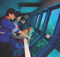 Great Barrier Reef Adventure from Cairns - Foster Accommodation