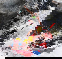 Barron Gorge National Park Half-Day White Water Rafting from Cairns or Port Douglas - Foster Accommodation