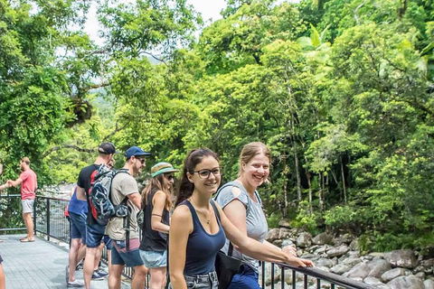 Cape Tribulation, Mossman Gorge, And Daintree Rainforest Day Trip From Cairns Or Port Douglas - Foster Accommodation 0