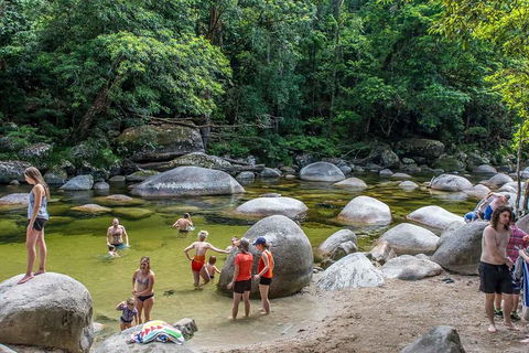 Cape Tribulation, Mossman Gorge, And Daintree Rainforest Day Trip From Cairns Or Port Douglas - Foster Accommodation 1