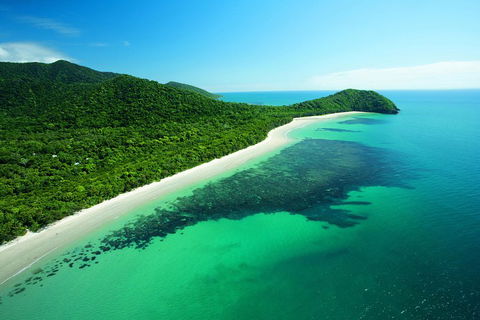Cape Tribulation, Mossman Gorge, And Daintree Rainforest Day Trip From Cairns Or Port Douglas - Foster Accommodation 2