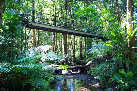 Cape Tribulation, Mossman Gorge, And Daintree Rainforest Day Trip From Cairns Or Port Douglas - Foster Accommodation 3