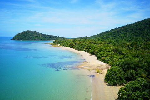 Cape Tribulation, Mossman Gorge, And Daintree Rainforest Day Trip From Cairns Or Port Douglas - Foster Accommodation 5