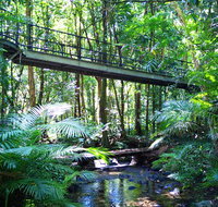 Double Pack-Ancient Rainforest and Waterfalls - Foster Accommodation