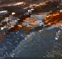 One Day Litchfield Park Adventures - Foster Accommodation