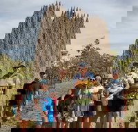 Jumping Crocodile Cruise and Berry Springs Nature Park - Foster Accommodation