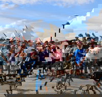 Sydney Bike Tours - Foster Accommodation