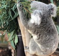 Private Blue Mountains and Wildlife Park Tour from Sydney with Barbecue Lunch