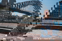 Sydney Private Tours by Locals 100 Personalized See the City Unscripted