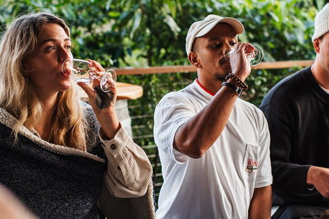 Full-Day Tour To Byron Bay Best Food And Drink Spots - Foster Accommodation 1