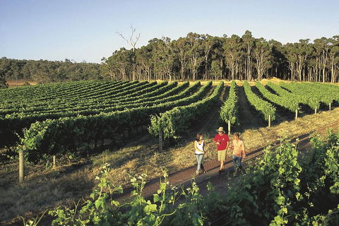 Margaret River, Caves, Wine And Cape Leeuwin Lighthouse Tour From Perth - Foster Accommodation 1